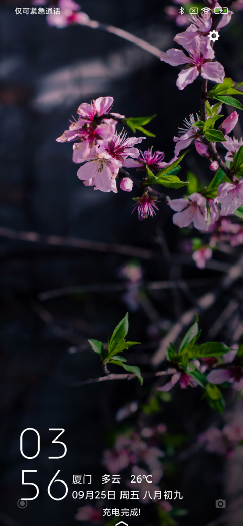 春花 screenshot