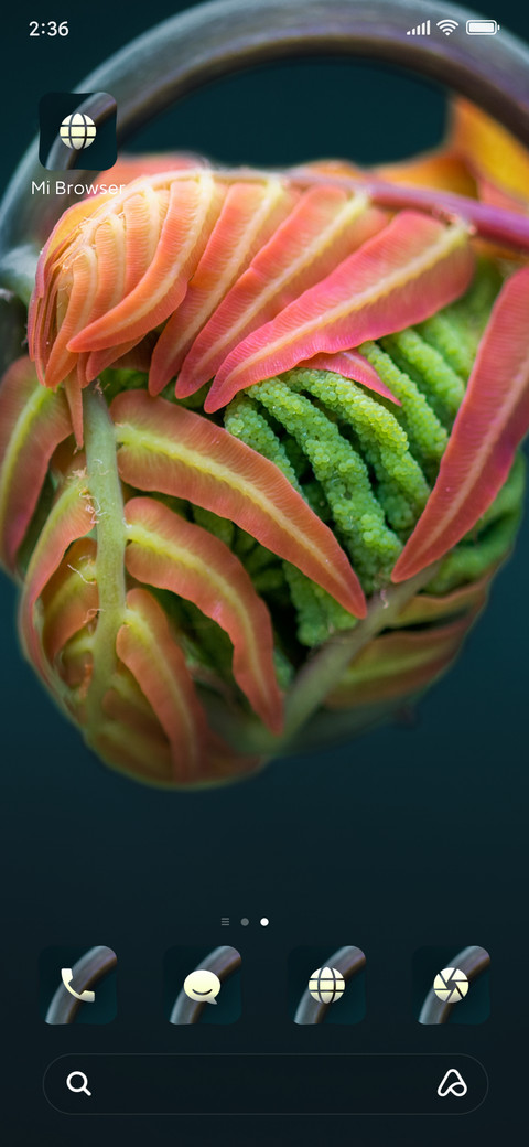 Fern screenshot