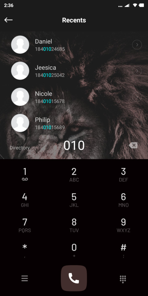 Lion Dark V10 screenshot