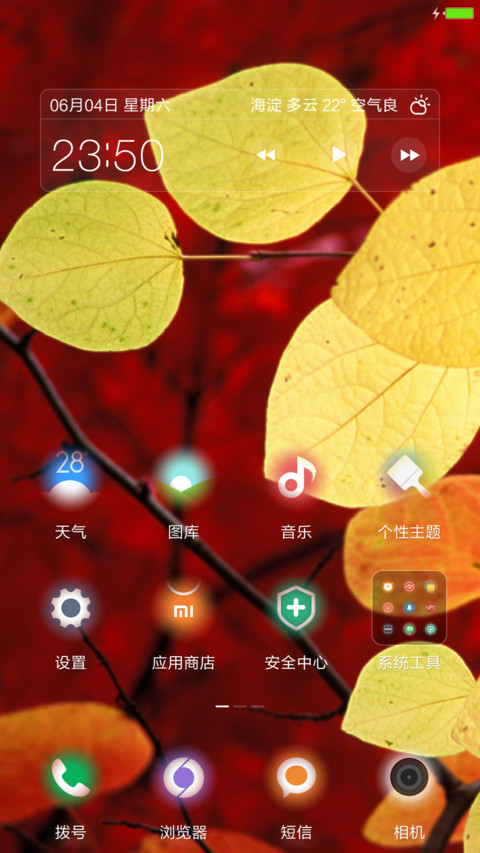 最美树叶 screenshot