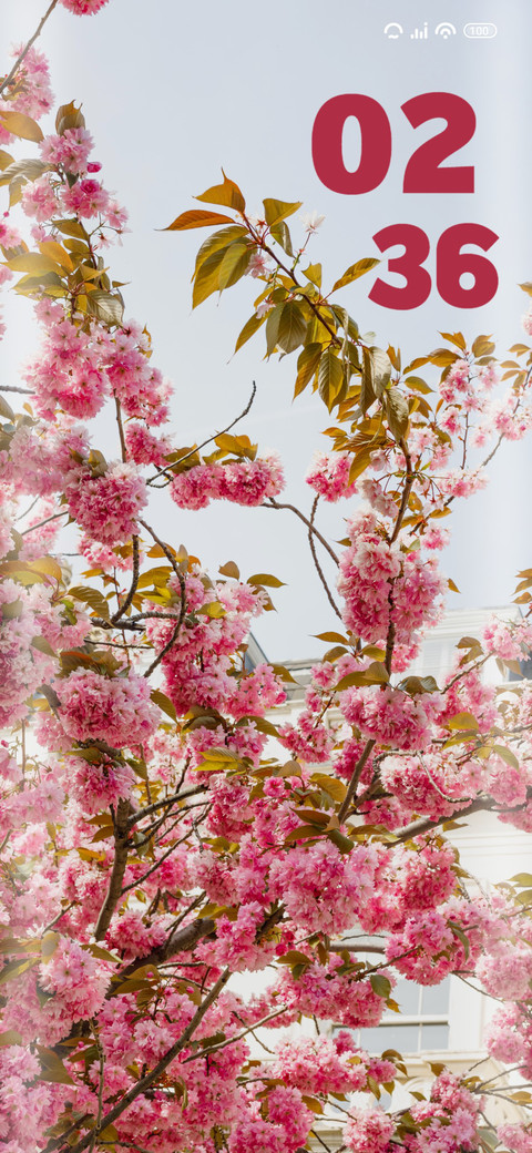 Pink tree screenshot