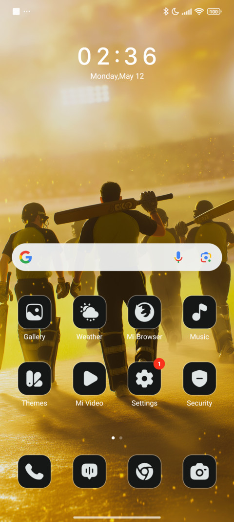 Cricket Storm screenshot