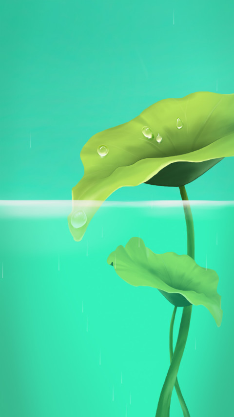 锦鲤荷塘 screenshot