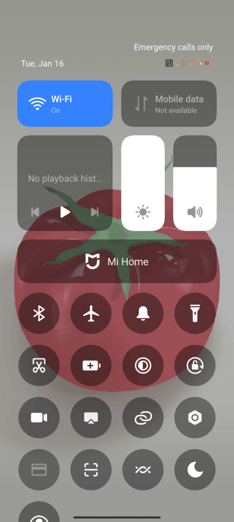 Persimmon lucky screenshot