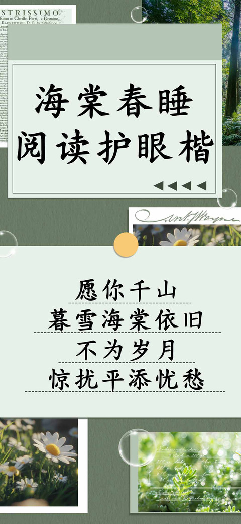 海棠春睡阅读护眼楷 screenshot
