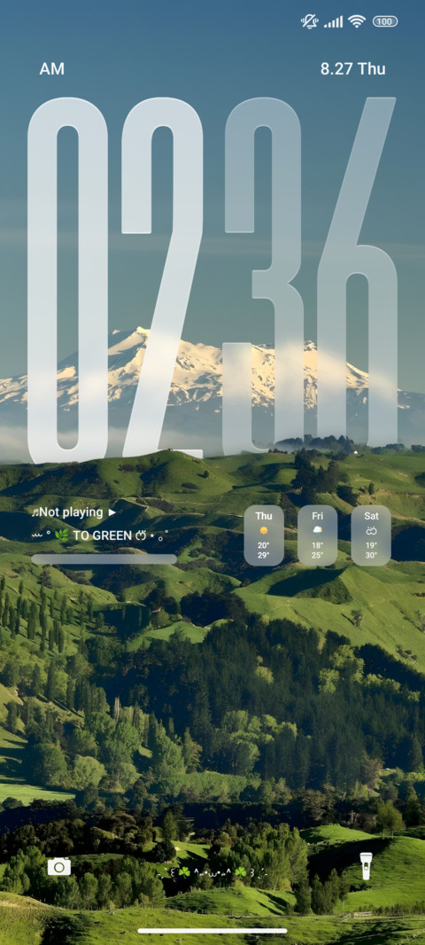Green screenshot