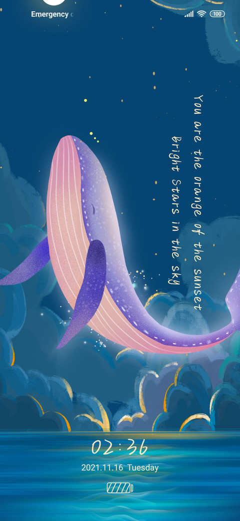 Galaxy whale screenshot