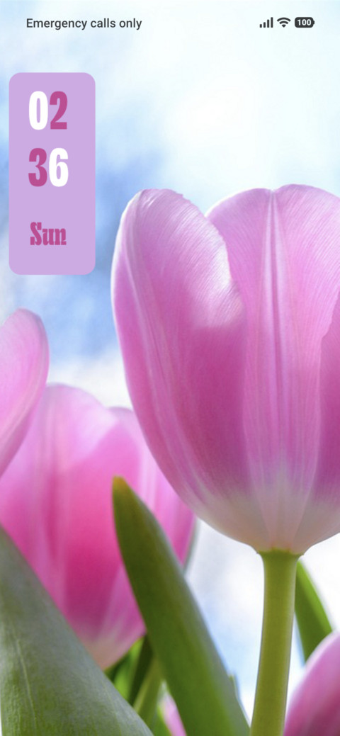 Pink Flowers screenshot