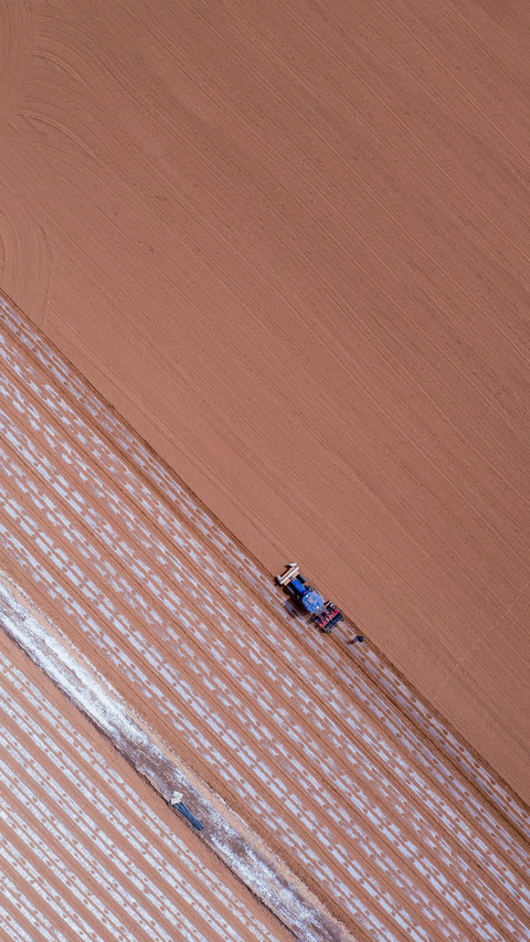 The most healing thing of spring is hidden in the soil screenshot