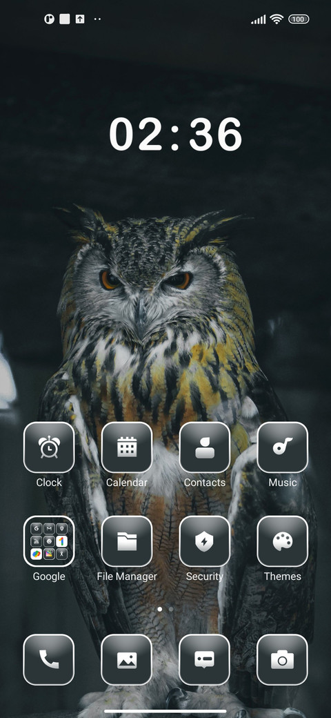 Owl Dark screenshot