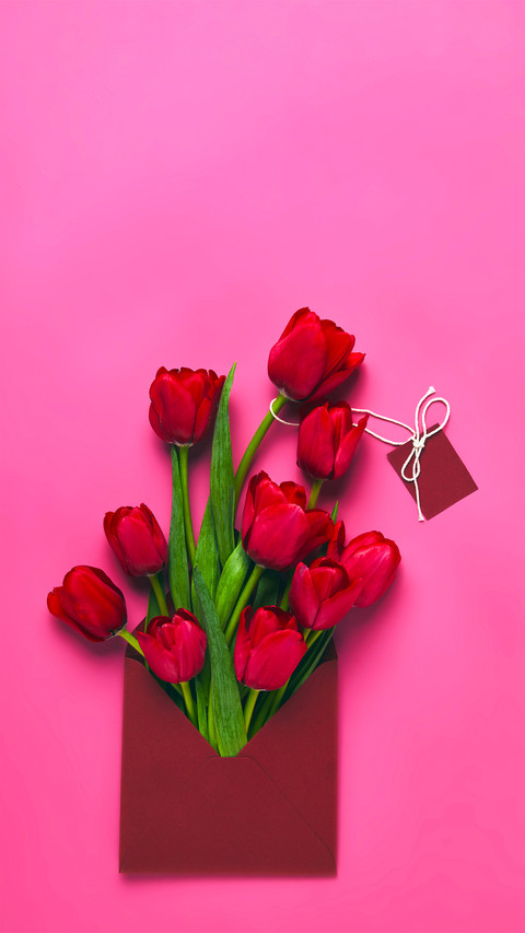 A Letter from Spring screenshot