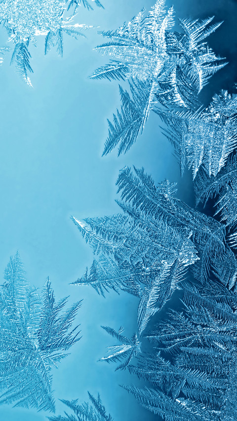 India-frozen screenshot