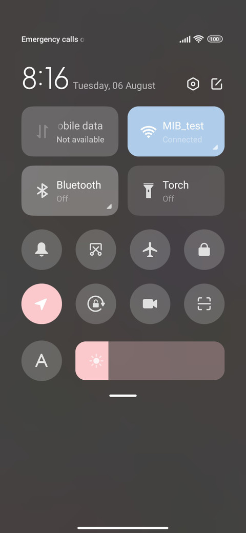 Pink Flowers screenshot