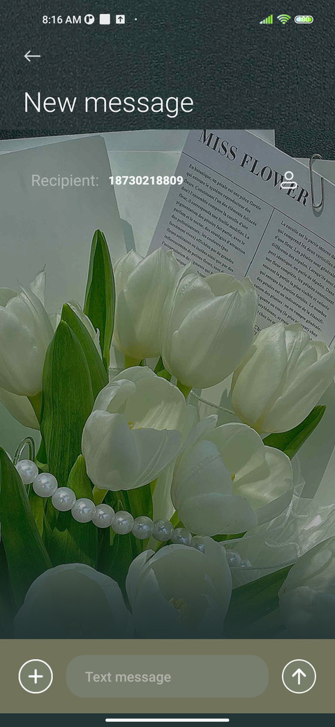 Vitality of spring screenshot