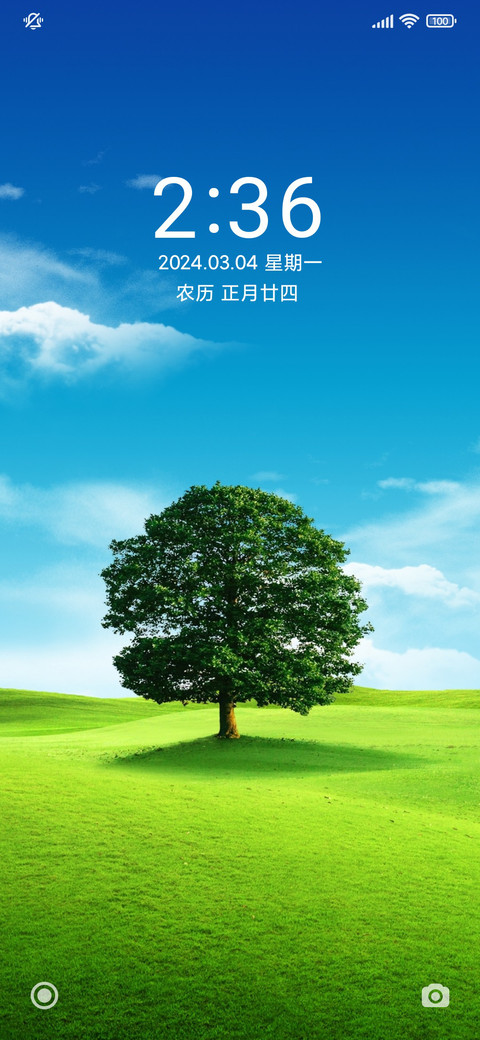 野外一棵树 screenshot