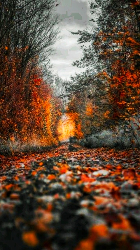 Autumn screenshot