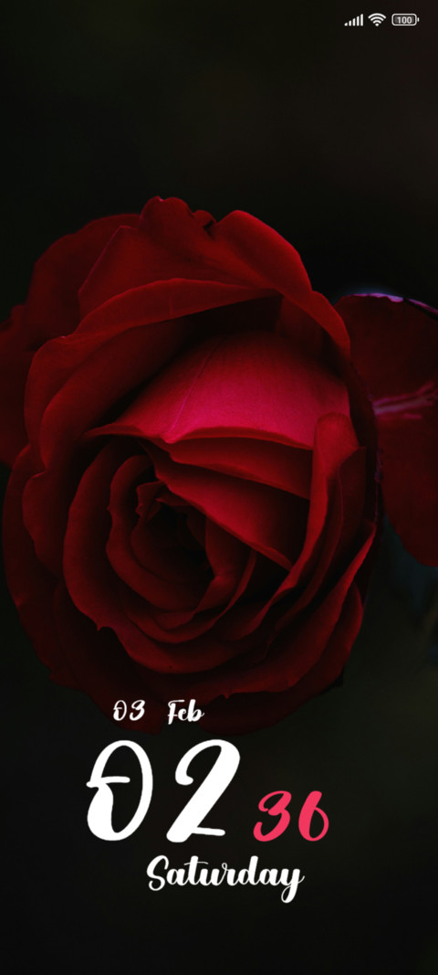 Red Flower screenshot