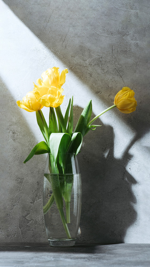 Yellow tulip bouquet in a vase on a grey surface with shadow screenshot