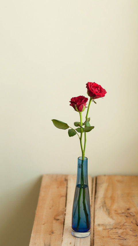 Roses in blue vase screenshot
