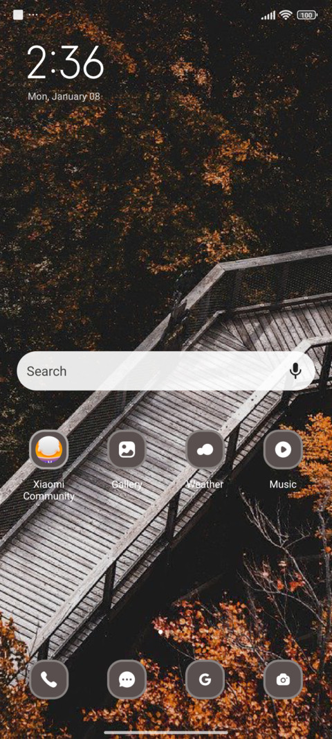 Bridge screenshot