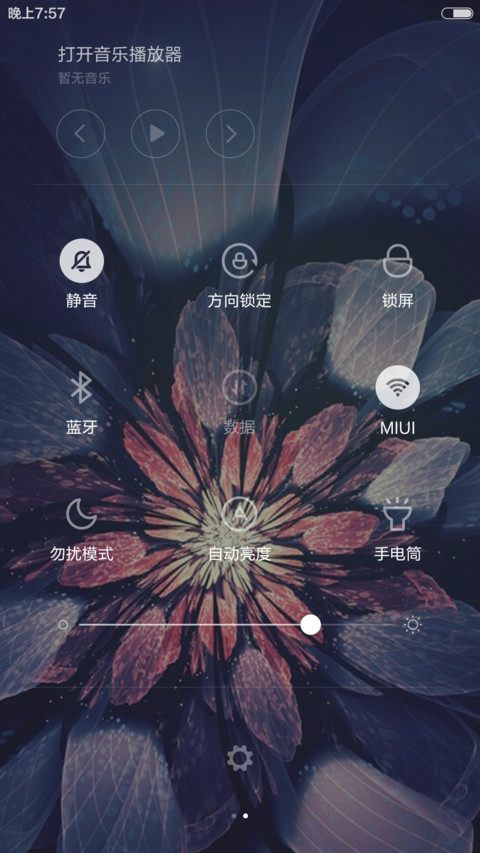 发光的花 screenshot