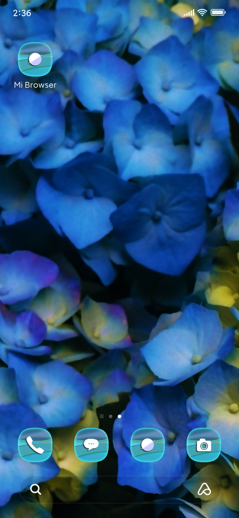 Naturel Fine screenshot