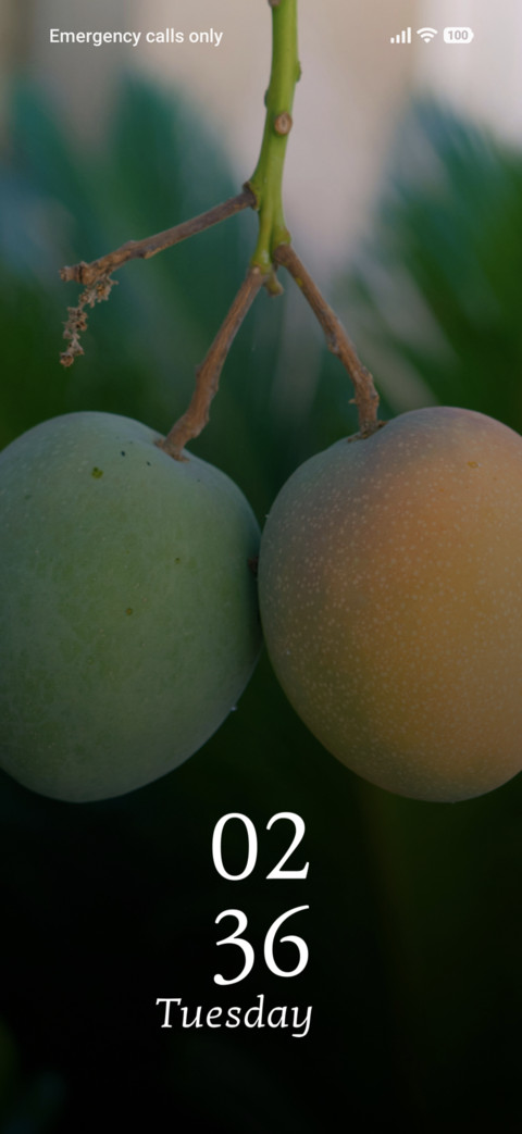 Twin Mangoes screenshot