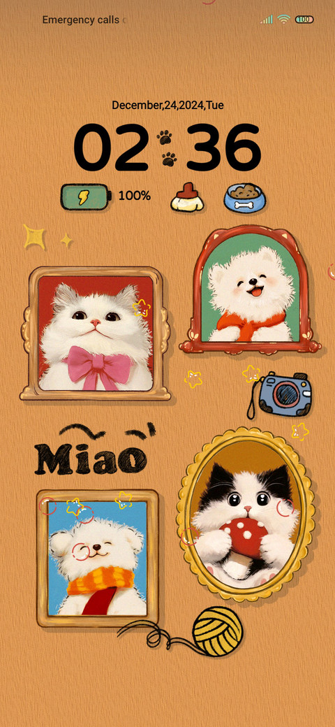 Retro Album Cat screenshot