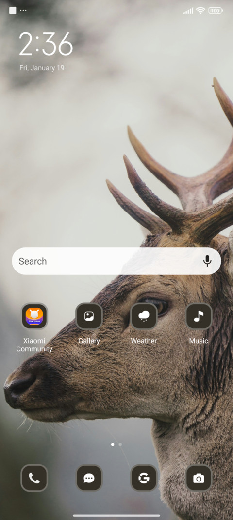 Wild Deer screenshot