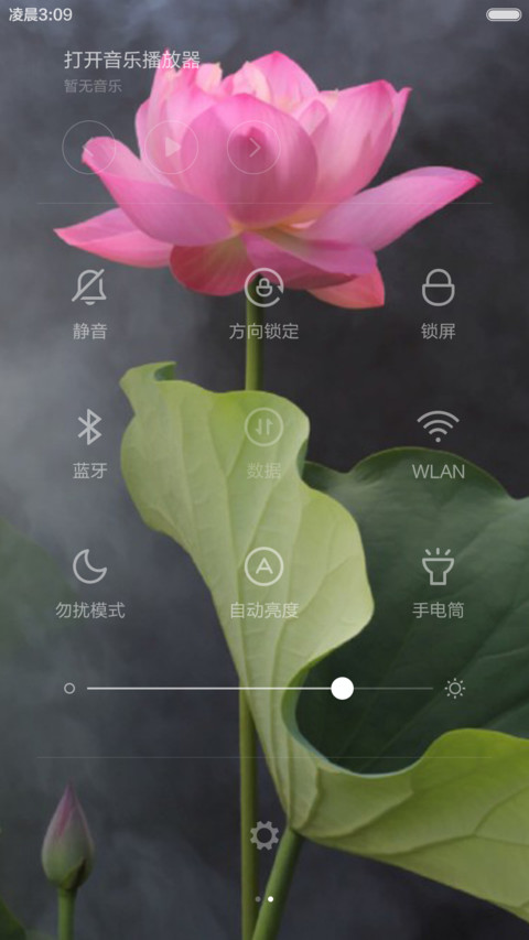 【回向偈】九品莲花（图标全覆盖） screenshot