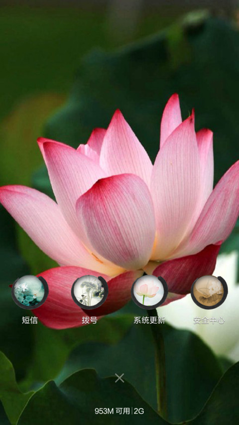 【回向偈】九品莲花（图标全覆盖） screenshot