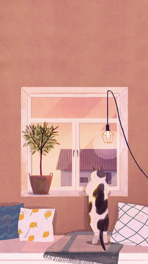 日常吸猫 screenshot