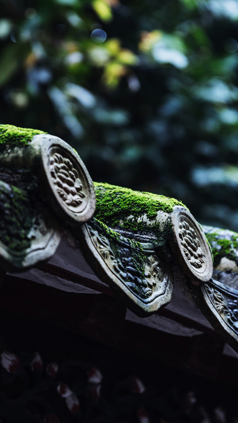 瓦片上的中国 screenshot