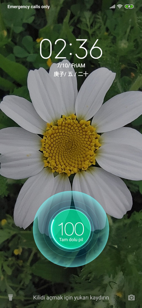 daisylove screenshot