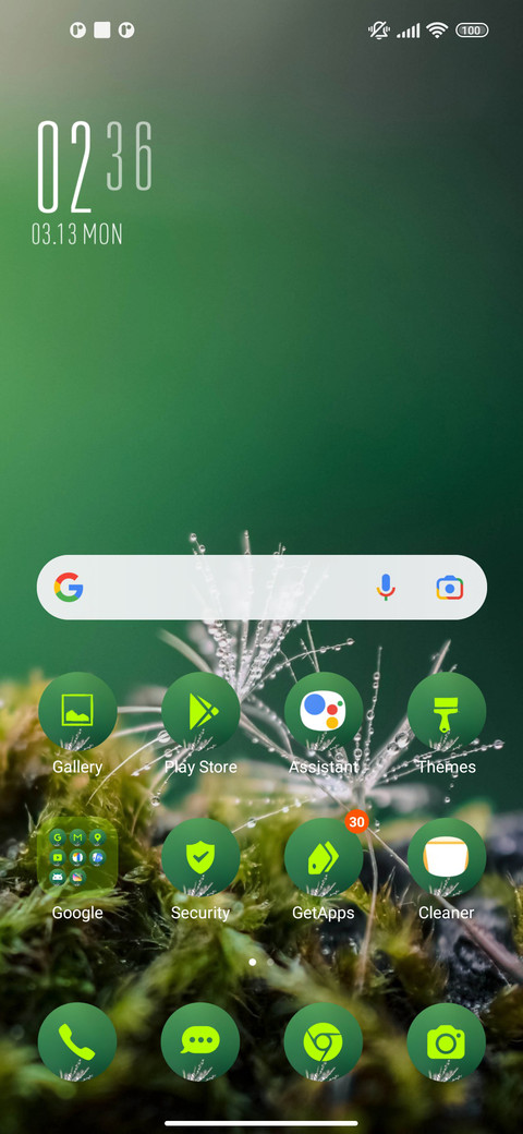 nature dandelion screenshot