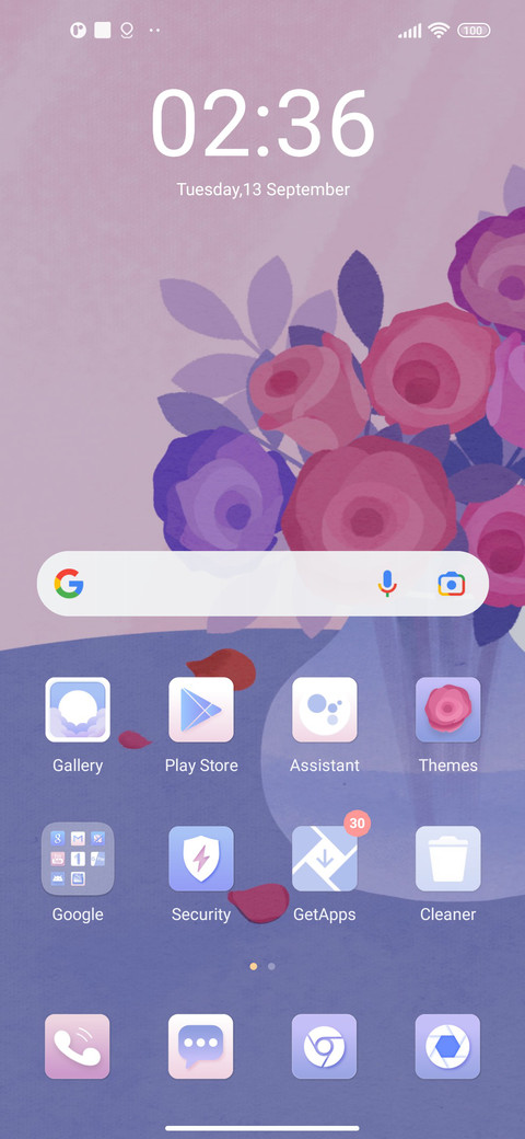 Daisies for you screenshot