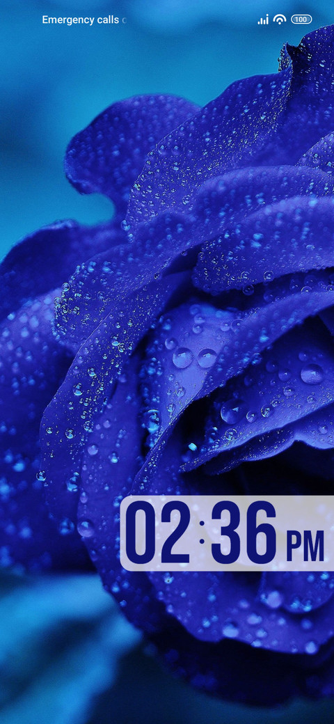 Dewdrops screenshot