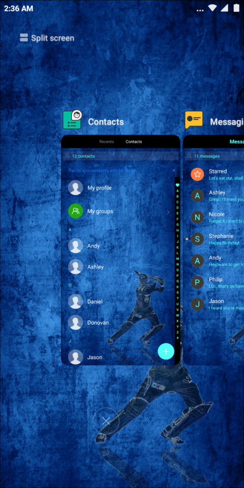 Mi_Cricket screenshot