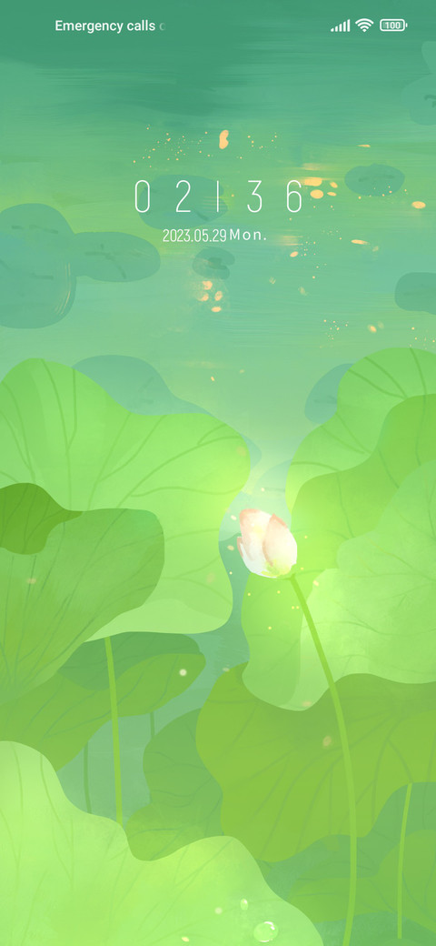lotus flowers screenshot