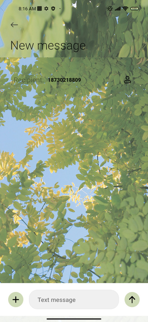 Fresh green leaves screenshot