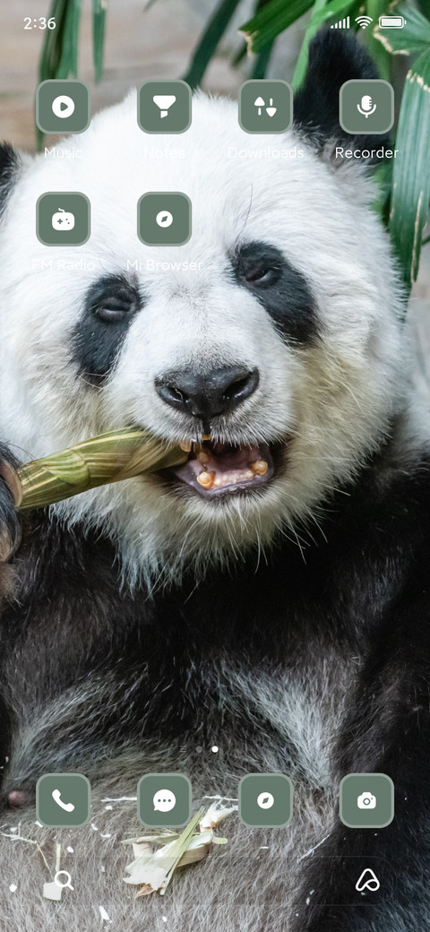 panda screenshot