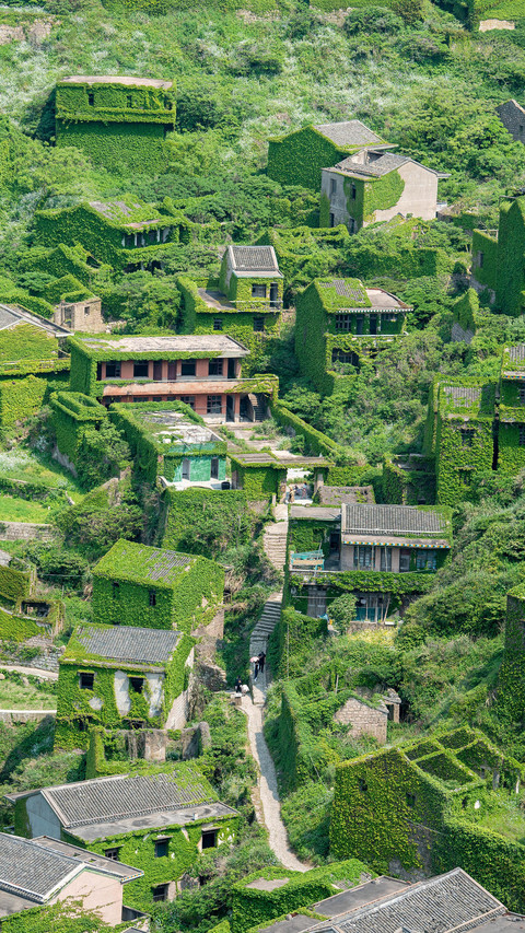 中国的“怪”村 screenshot
