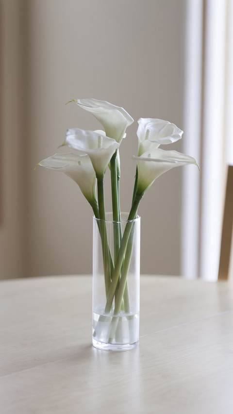 Bright and colorful calla lily 52 screenshot