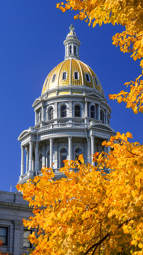 Colorado state capitol dome with autumn leaves screenshot