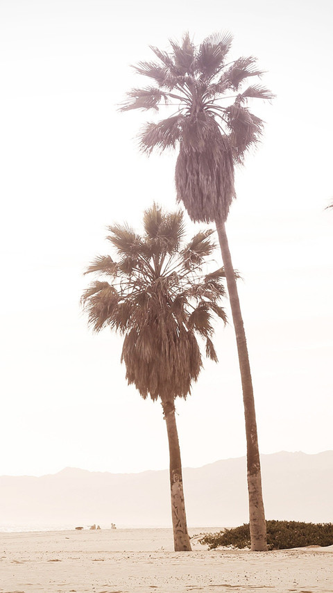 14 screenshot