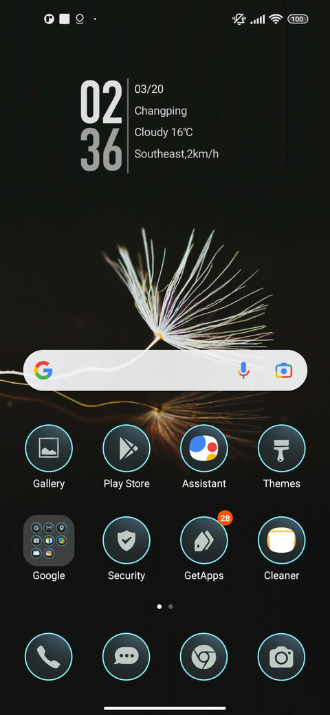 minimal dandelion screenshot