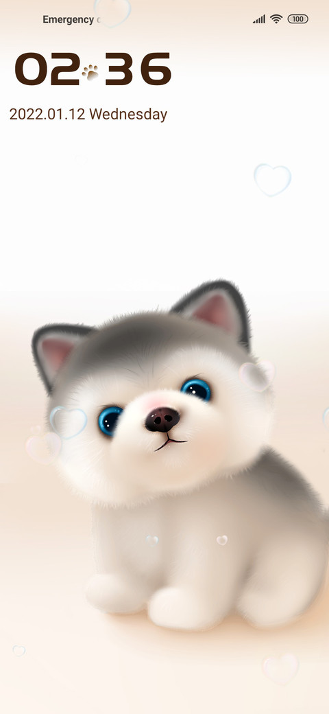 Cute husky screenshot
