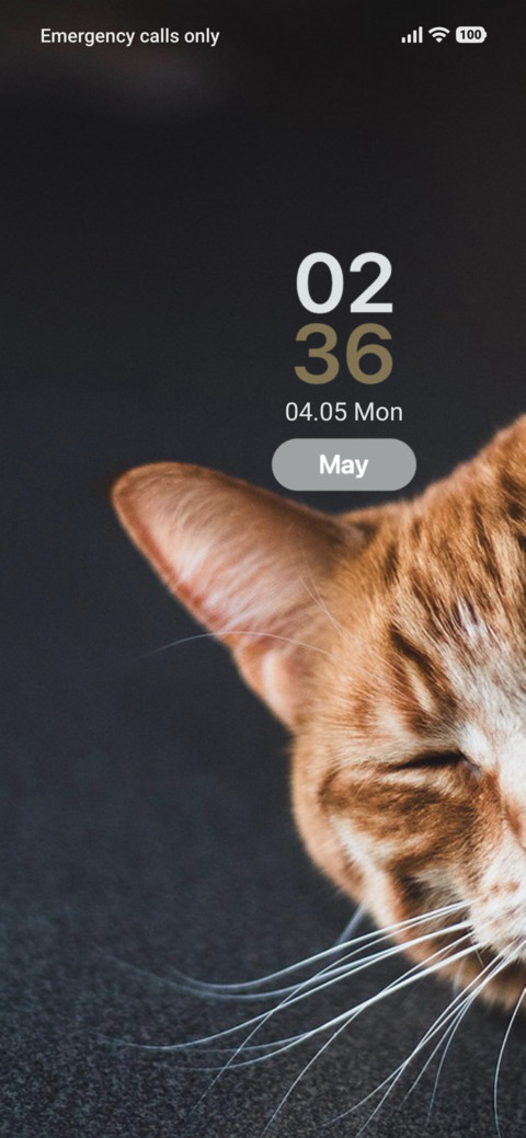 Tiny Tigers screenshot