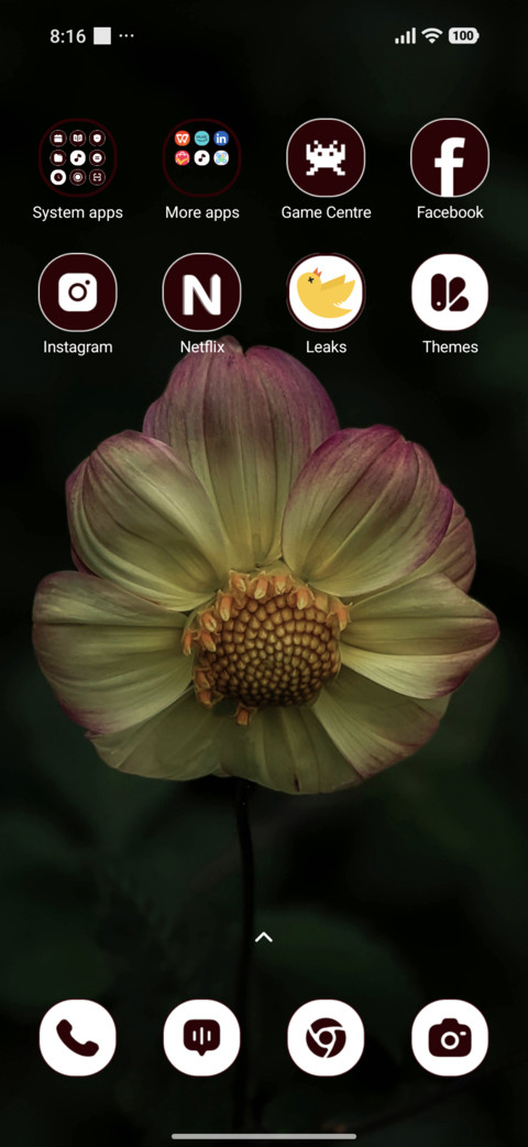 Sunset Petals screenshot