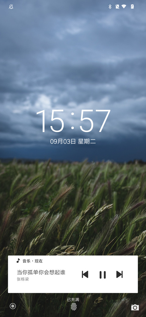 Aosp Q screenshot